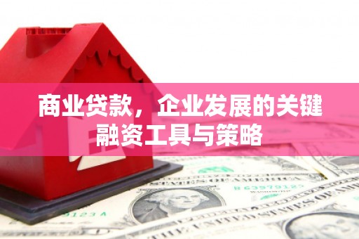 金塔商业贷款，企业发展的关键融资工具与策略