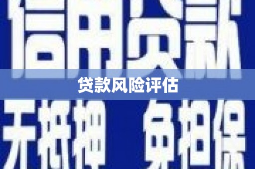 金塔贷款风险评估
