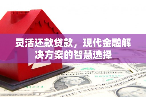 金塔灵活还款贷款，现代金融解决方案的智慧选择