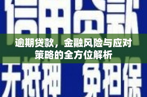 金塔逾期贷款，金融风险与应对策略的全方位解析