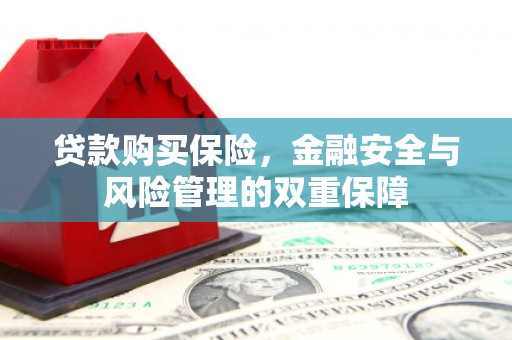 金塔贷款购买保险，金融安全与风险管理的双重保障