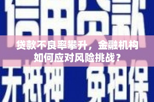 金塔贷款不良率攀升，金融机构如何应对风险挑战？