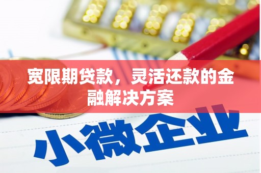 金塔宽限期贷款，灵活还款的金融解决方案