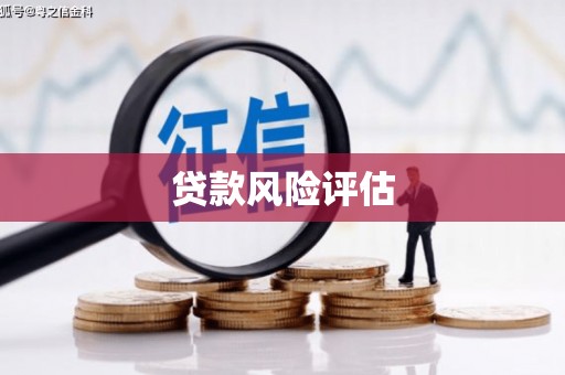金塔贷款风险评估