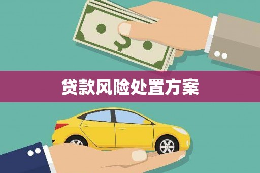 金塔贷款风险处置方案
