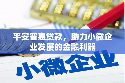 金塔平安普惠贷款，助力小微企业发展的金融利器