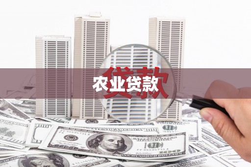 金塔农业贷款