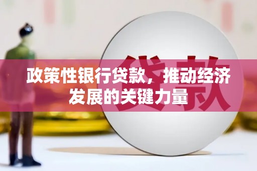 金塔政策性银行贷款，推动经济发展的关键力量