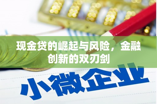 金塔现金贷的崛起与风险，金融创新的双刃剑