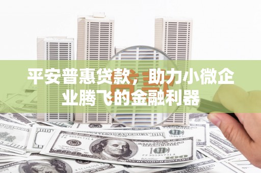 金塔平安普惠贷款，助力小微企业腾飞的金融利器