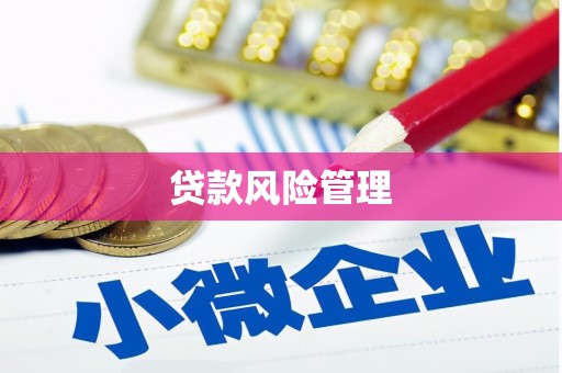 金塔贷款风险管理