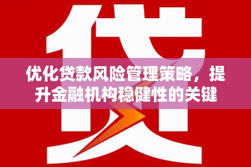 金塔优化贷款风险管理策略，提升金融机构稳健性的关键