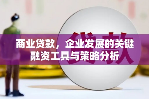 金塔商业贷款，企业发展的关键融资工具与策略分析