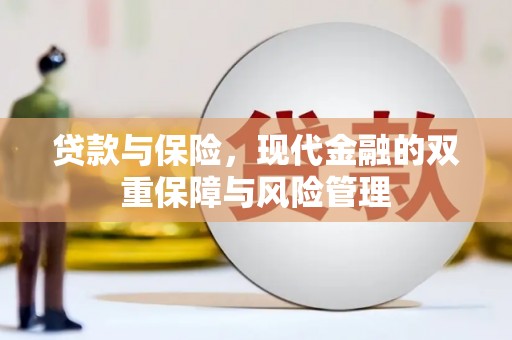 金塔贷款与保险，现代金融的双重保障与风险管理