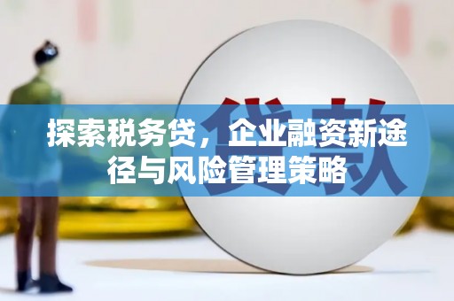 金塔探索税务贷，企业融资新途径与风险管理策略