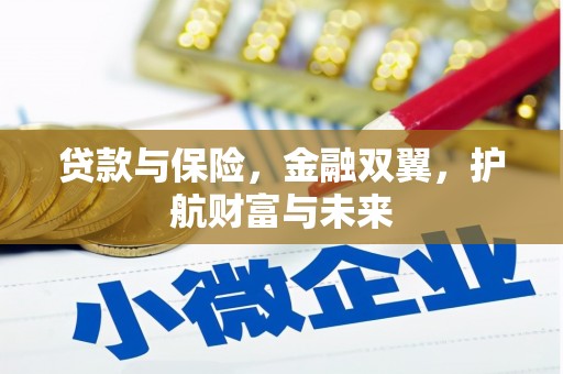金塔贷款与保险，金融双翼，护航财富与未来