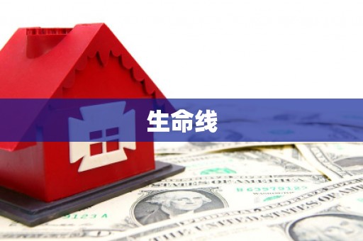 金塔生命线