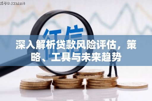 金塔深入解析贷款风险评估，策略、工具与未来趋势
