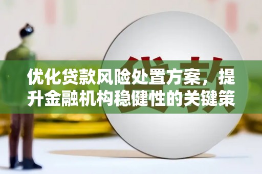 金塔优化贷款风险处置方案，提升金融机构稳健性的关键策略