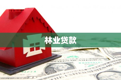 金塔林业贷款