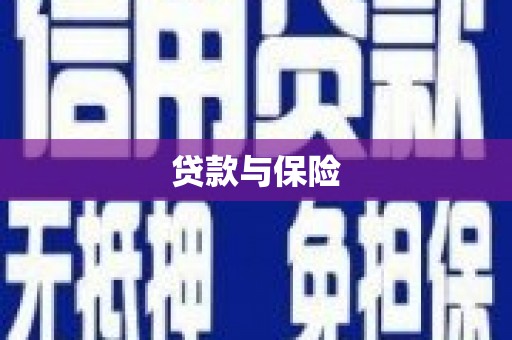 金塔贷款与保险