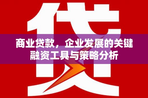 金塔商业贷款，企业发展的关键融资工具与策略分析