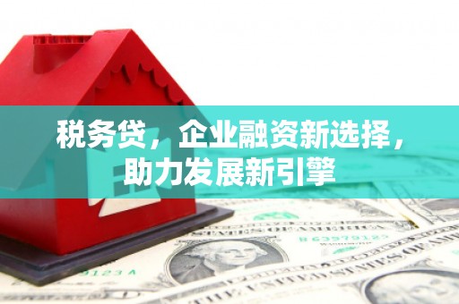 金塔税务贷，企业融资新选择，助力发展新引擎