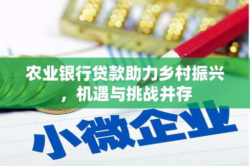 金塔农业银行贷款助力乡村振兴，机遇与挑战并存
