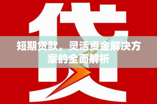 金塔短期贷款，灵活资金解决方案的全面解析