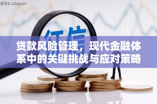 金塔贷款风险管理，现代金融体系中的关键挑战与应对策略