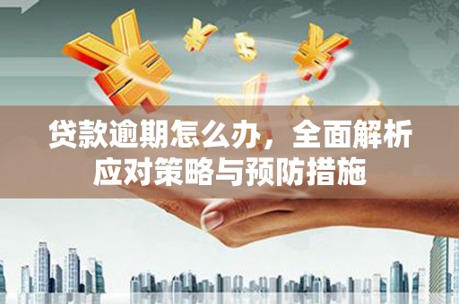 金塔贷款逾期怎么办，全面解析应对策略与预防措施