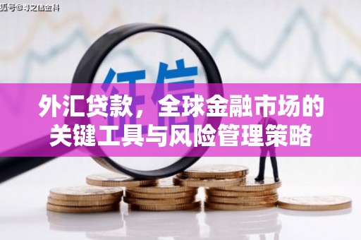 金塔外汇贷款，全球金融市场的关键工具与风险管理策略