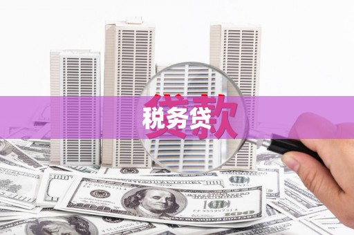 金塔税务贷