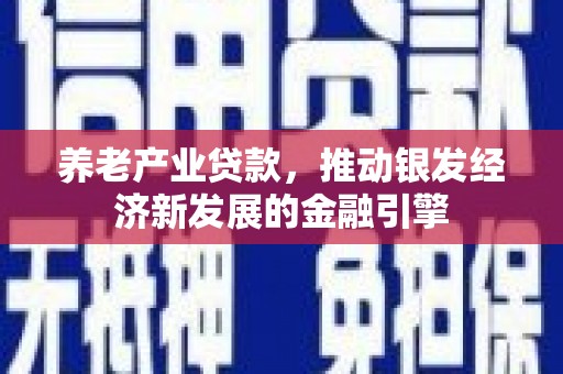 金塔养老产业贷款，推动银发经济新发展的金融引擎