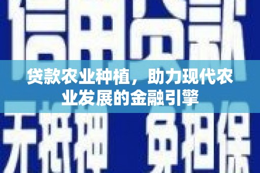 金塔贷款农业种植，助力现代农业发展的金融引擎
