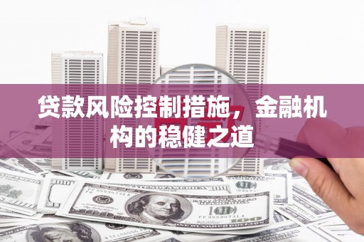 金塔贷款风险控制措施，金融机构的稳健之道