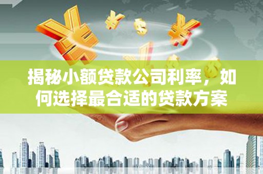 金塔揭秘小额贷款公司利率，如何选择最合适的贷款方案