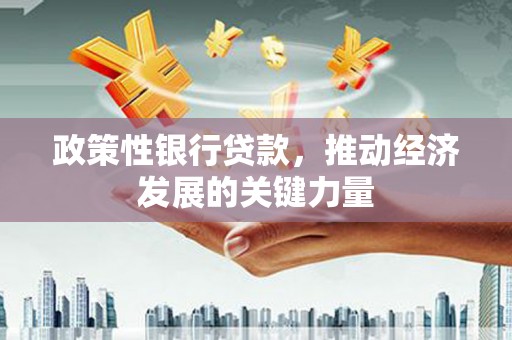 金塔政策性银行贷款，推动经济发展的关键力量