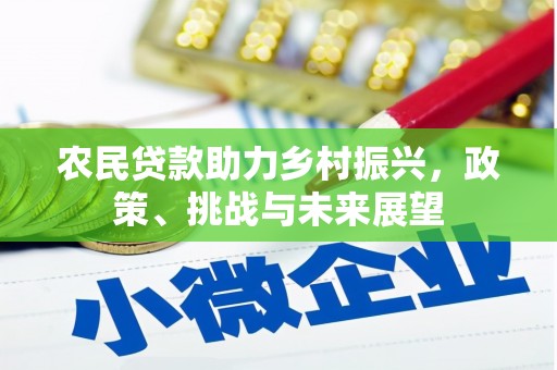 金塔农民贷款助力乡村振兴，政策、挑战与未来展望