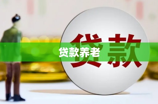 金塔贷款养老