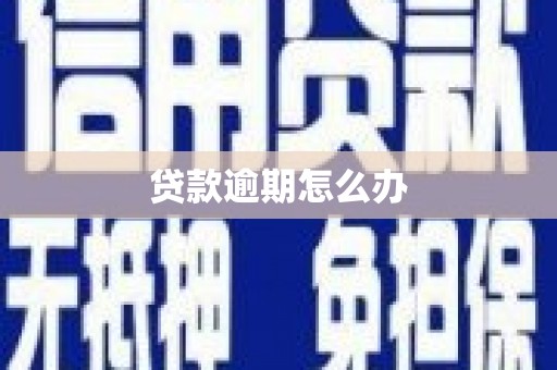 金塔贷款逾期怎么办