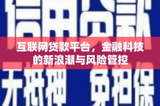 金塔互联网贷款平台，金融科技的新浪潮与风险管控