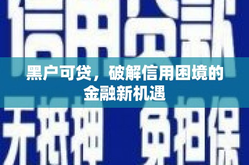 金塔黑户可贷，破解信用困境的金融新机遇