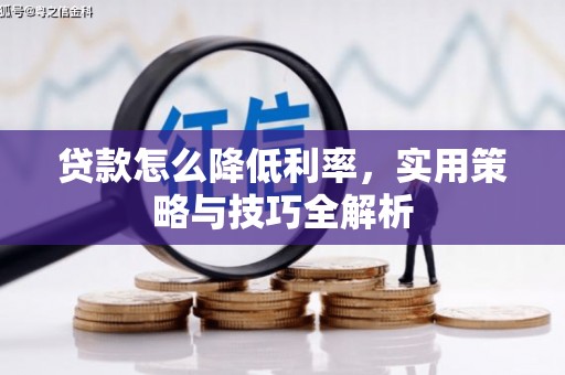 金塔贷款怎么降低利率，实用策略与技巧全解析