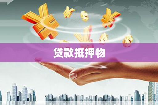 金塔贷款抵押物