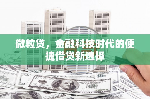 金塔微粒贷，金融科技时代的便捷借贷新选择