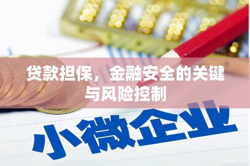 金塔贷款担保，金融安全的关键与风险控制
