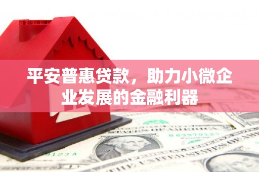 金塔平安普惠贷款，助力小微企业发展的金融利器