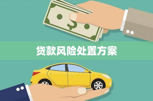 金塔贷款风险处置方案