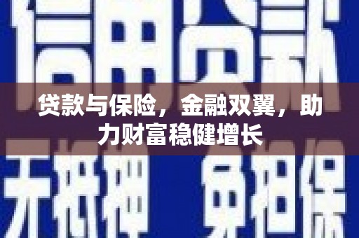 金塔贷款与保险，金融双翼，助力财富稳健增长